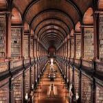 A IA vai substituir os Bibliotecários? Ensaio sob aspectos da Teoria Crítica