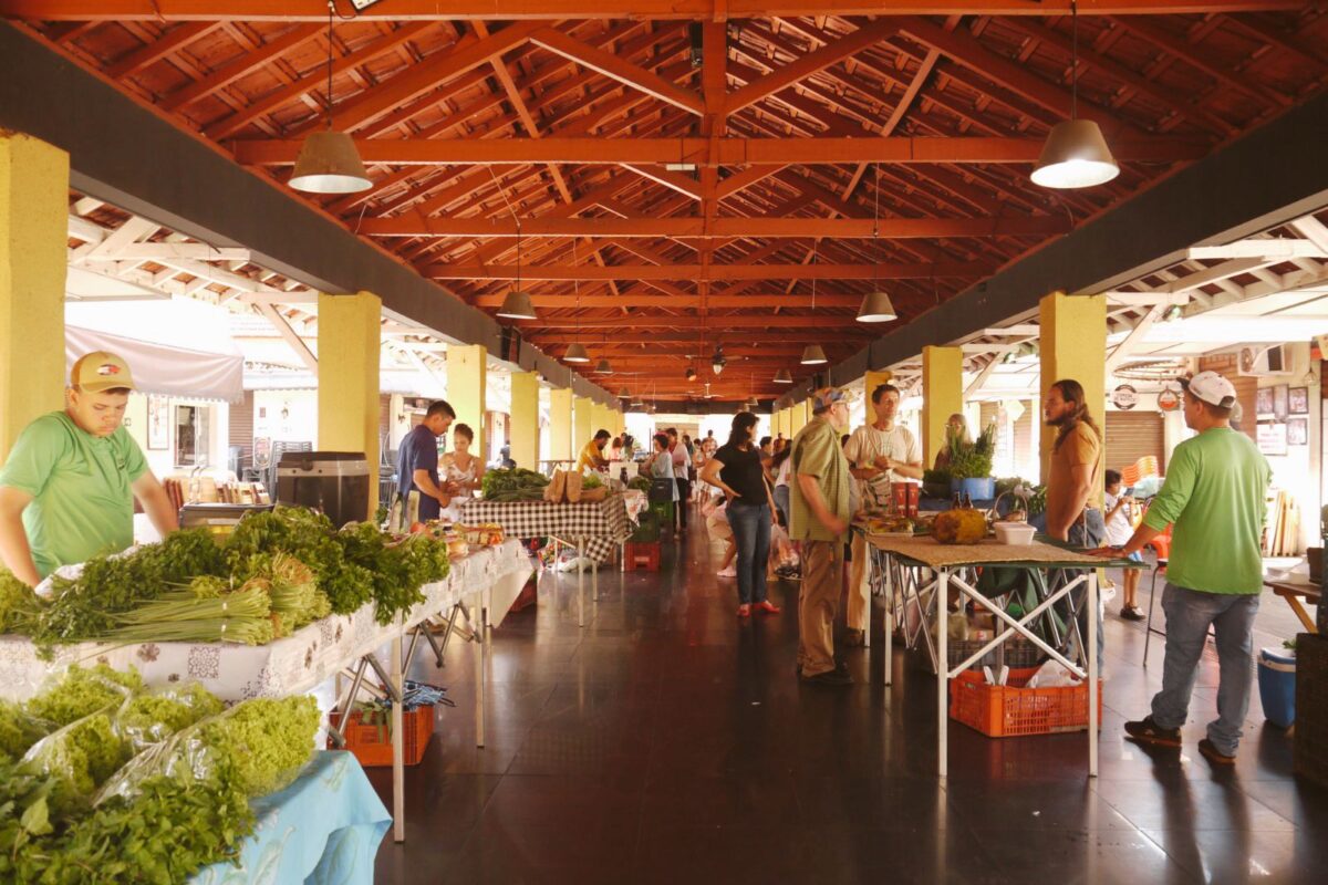 Da semente à mesa: há 26 anos, agricultores orgânicos em Goiás atuam para oferecer alimentos saudáveis e a preço justo à população