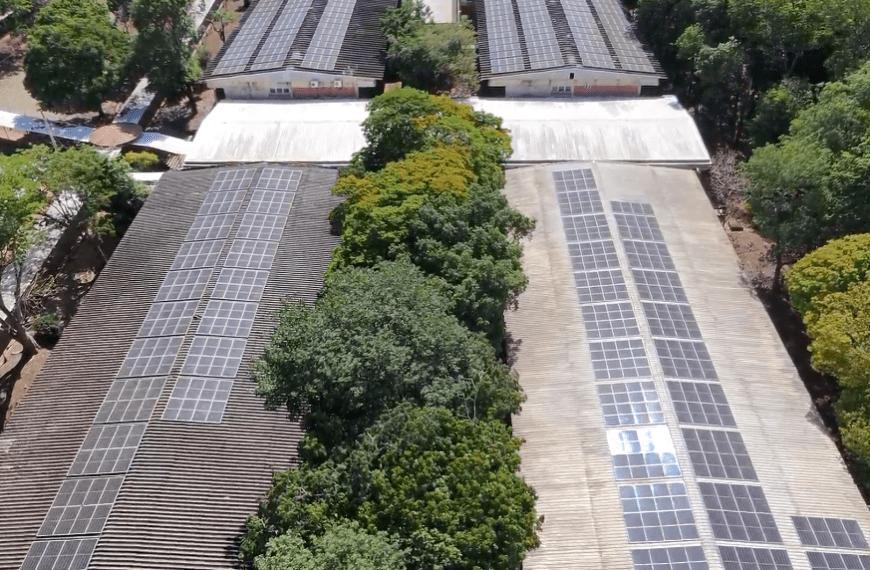 Energia solar ganha espaço na UFG e reduz custos no campus