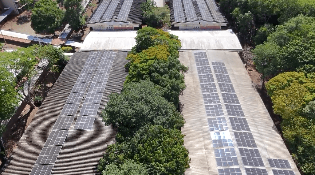 Energia solar ganha espaço na UFG e reduz custos no campus