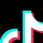 TikTok como espaço de apropriação da informação: entre a animação cultural e a ação cultural sob a perspectiva da teoria crítica