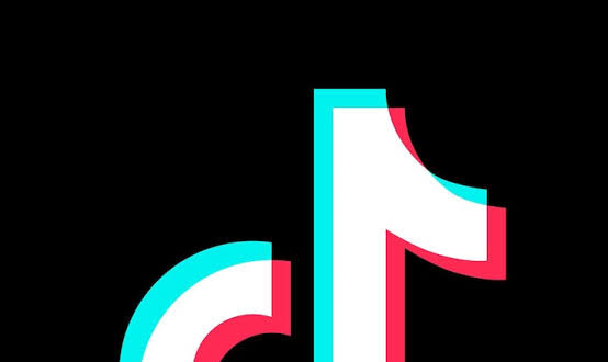 TikTok como espaço de apropriação da informação: entre a animação cultural e a ação cultural sob a perspectiva da teoria crítica