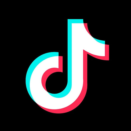 TikTok como espaço de apropriação da informação: entre a animação cultural e a ação cultural sob a perspectiva da teoria crítica