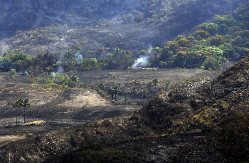 Período seco eleva risco de incêndios florestais em Goiás