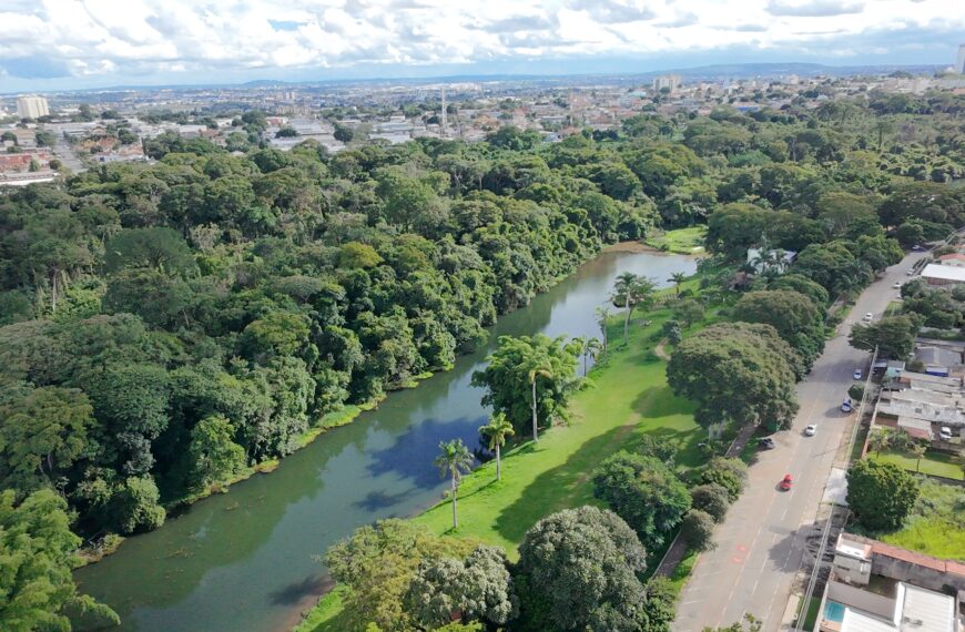 Goiânia é a segunda capital mais arborizada do país, aponta IBGE