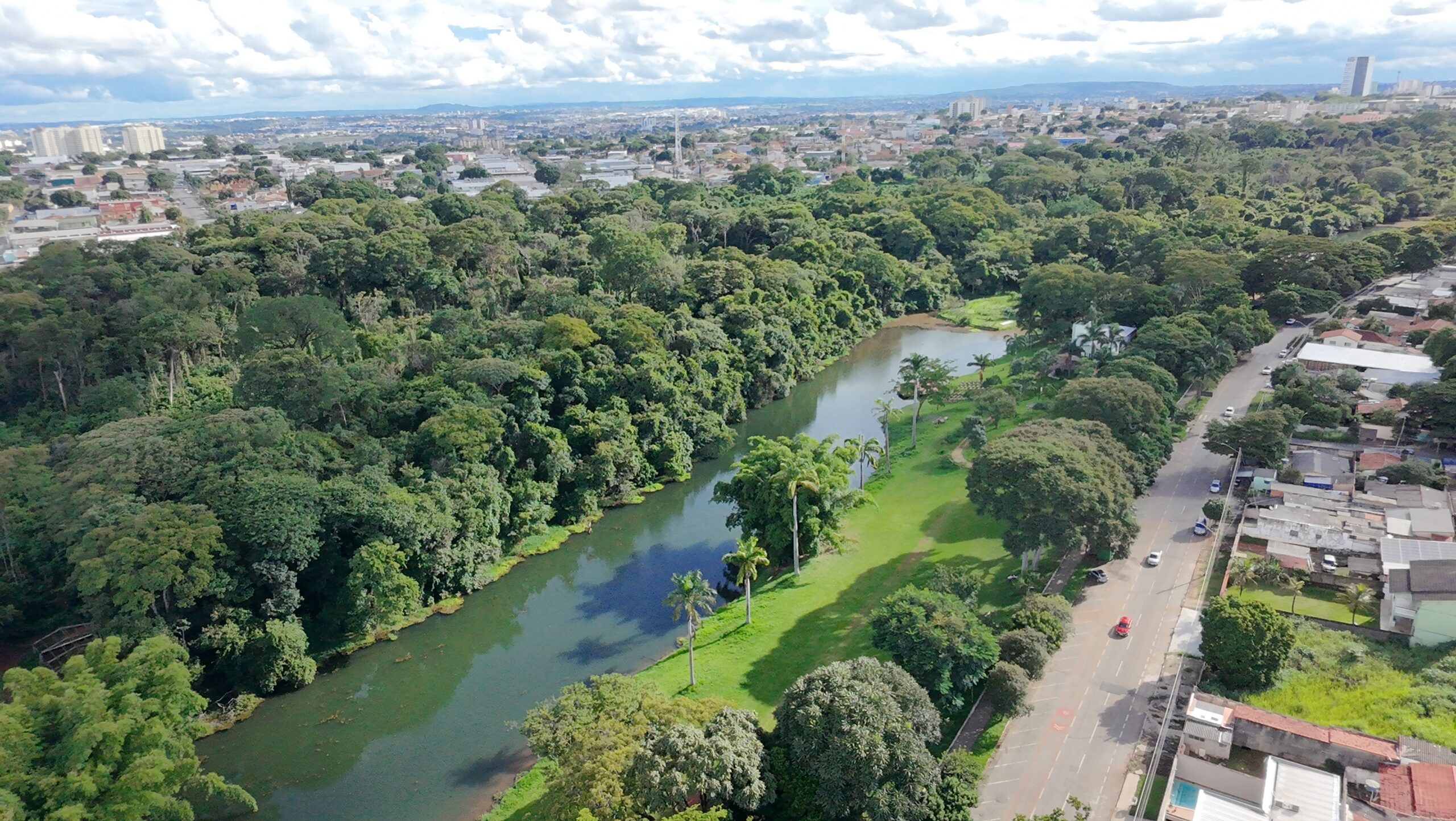Goiânia é a segunda capital mais arborizada do país, aponta IBGE