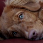 O abandono que mora ao lado