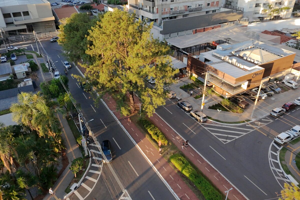 alameda ricardo paranhos em goiânia, fim de tarde. Foto: Raniê Solarevisky/BIGOD-UFG