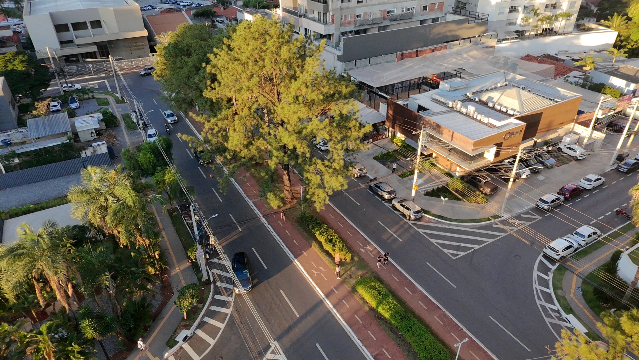 alameda ricardo paranhos em goiânia, fim de tarde. Foto: Raniê Solarevisky/BIGOD-UFG